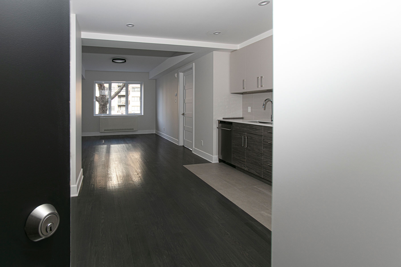 2-Bedroom + 2 Bathrooms (4½)